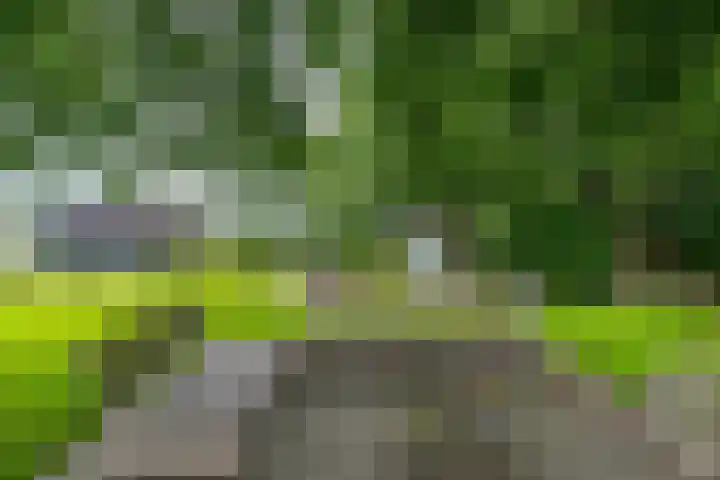 Lutjewegje 28 Uithuizermeeden thumbnail 55