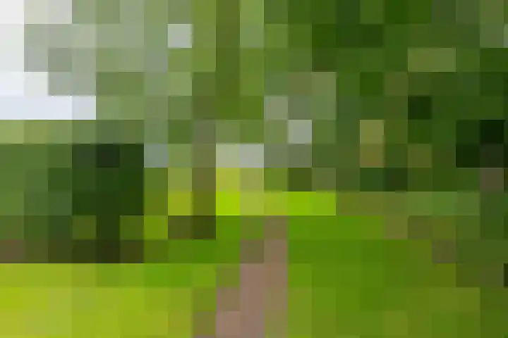 Lutjewegje 28 Uithuizermeeden thumbnail 56