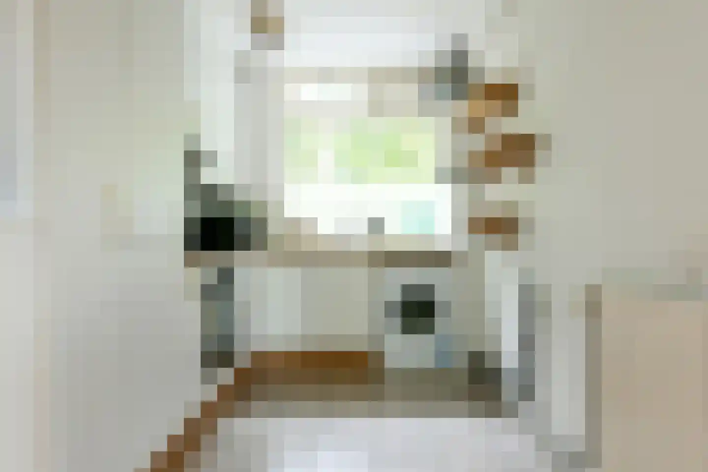Lutkemeerstraat 70 Hoofddorp thumbnail 12