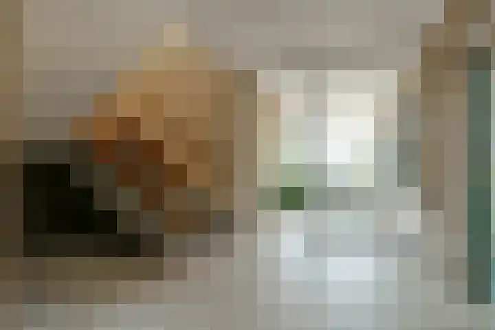 Lutkemeerstraat 84 Hoofddorp thumbnail 4