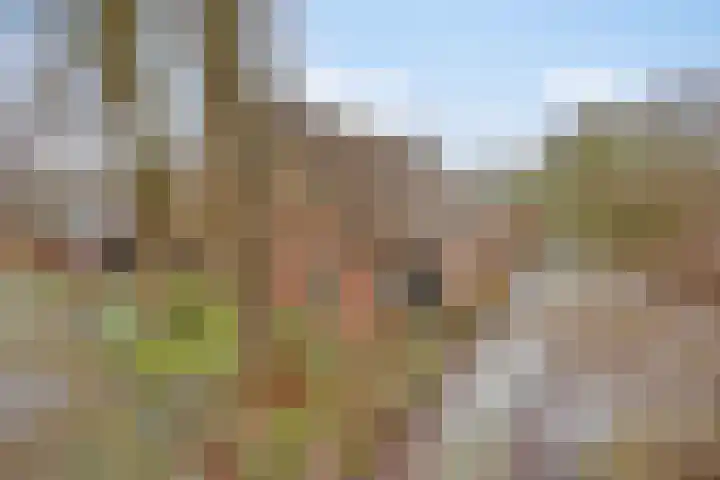 Lutkenend 9 Gasselte