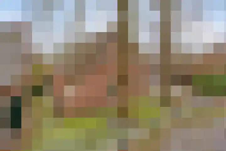 Lutkenend 9 Gasselte thumbnail 13