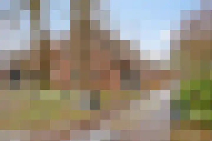 Lutkenend 9 Gasselte thumbnail 15