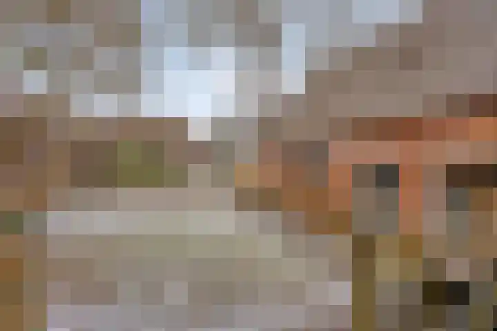 Lutkenend 9 Gasselte thumbnail 19