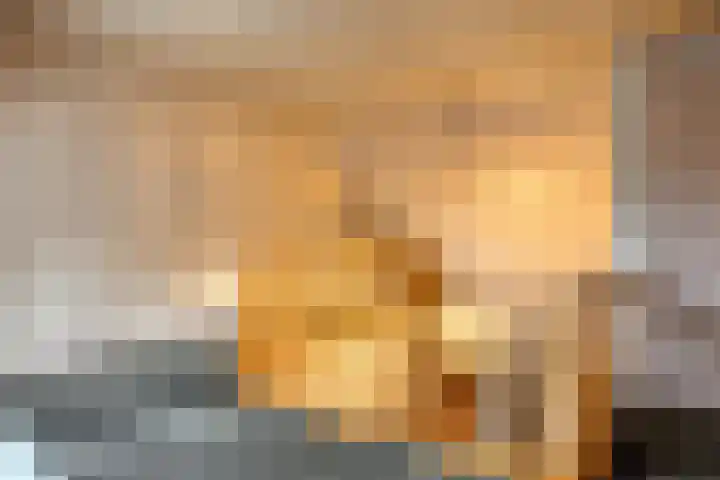 Lutkenend 9 Gasselte thumbnail 54