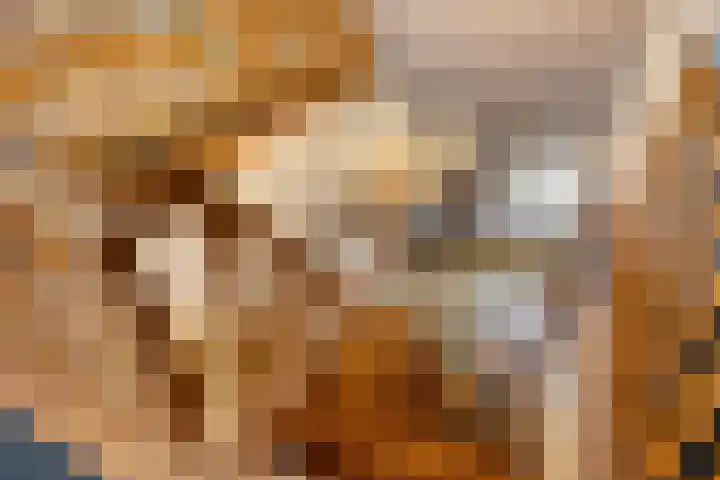 Lutkenend 9 Gasselte thumbnail 62