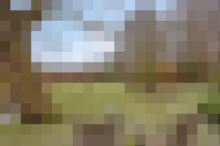 Lutkenend 9 Gasselte thumbnail 65