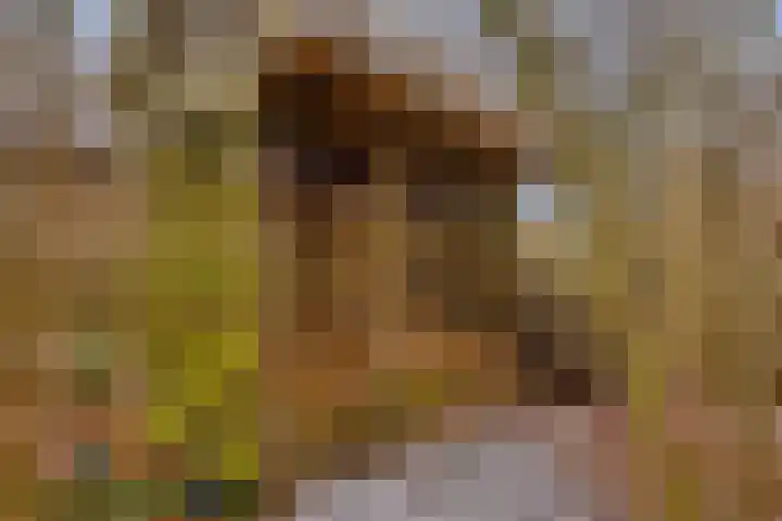 Lutkenend 9 Gasselte thumbnail 66