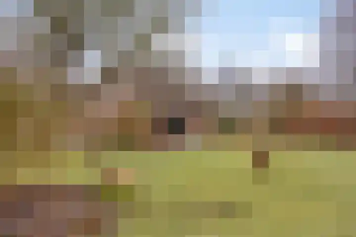 Lutkenend 9 Gasselte thumbnail 67