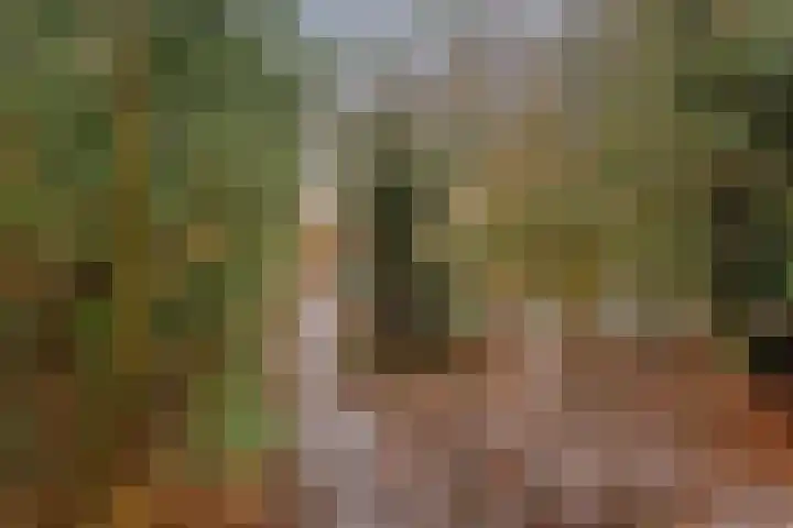 Lutkenend 9 Gasselte thumbnail 68