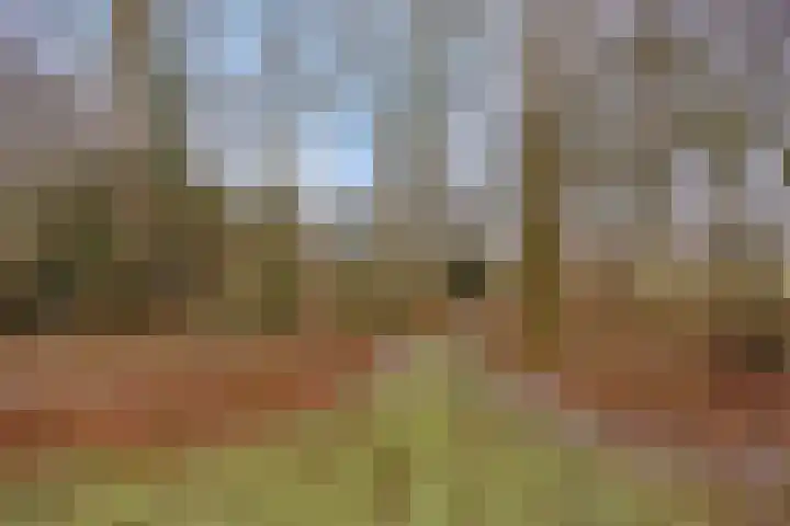 Lutkenend 9 Gasselte thumbnail 70