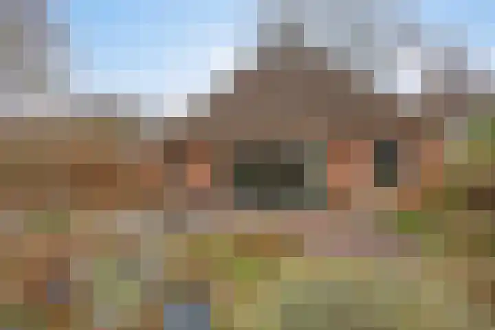 Lutkenend 9 Gasselte thumbnail 74