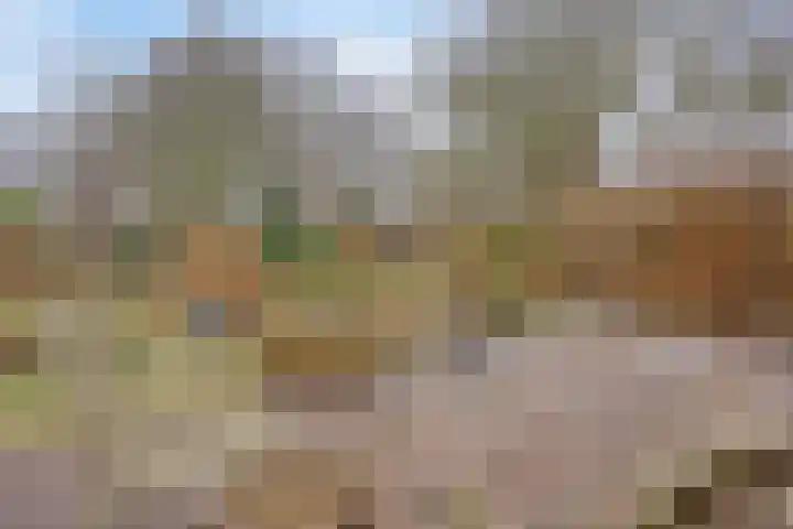 Lutkenend 9 Gasselte thumbnail 75