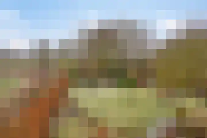 Lutkenend 9 Gasselte thumbnail 76