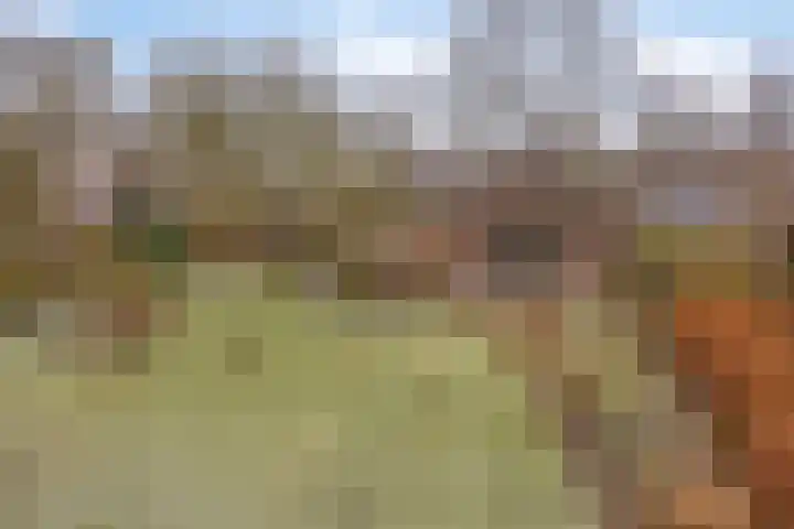 Lutkenend 9 Gasselte thumbnail 77