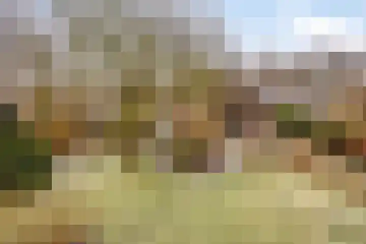 Lutkenend 9 Gasselte thumbnail 78