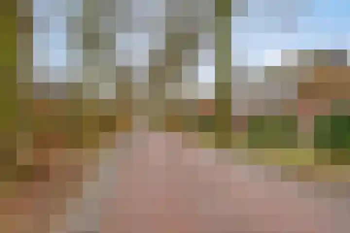 Lutkenend 9 Gasselte thumbnail 85