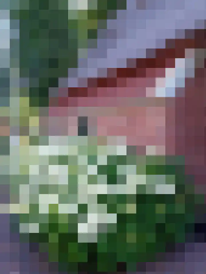 Lutkenend 9 Gasselte thumbnail 87