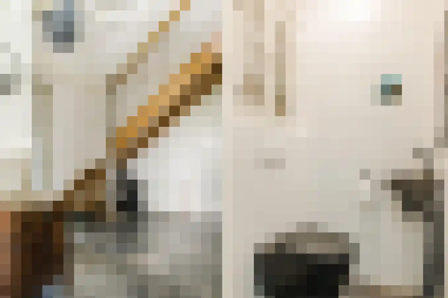 Lutkepost 3 Buitenpost thumbnail 27