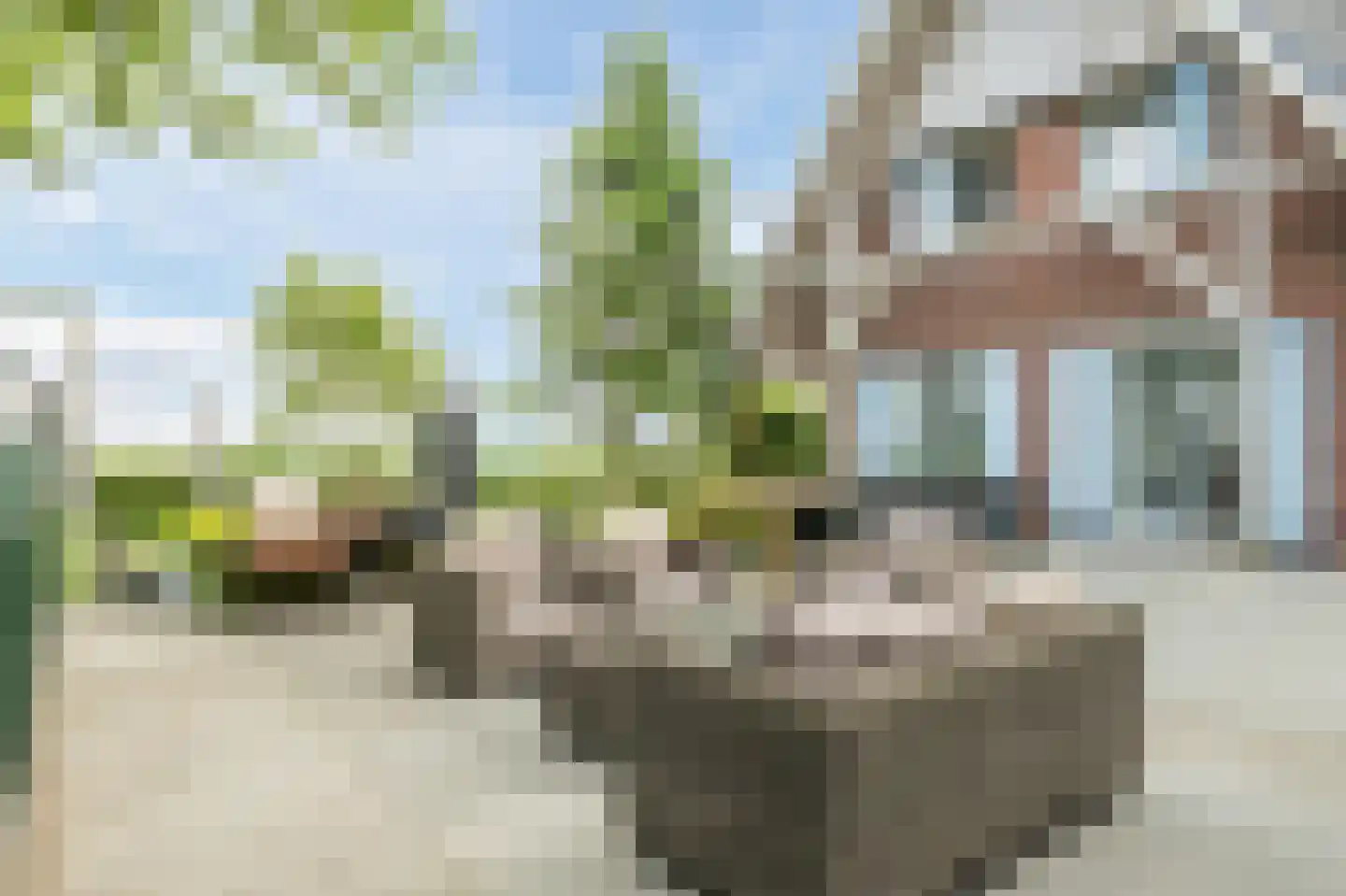 Lutkepost 3 Buitenpost thumbnail 52