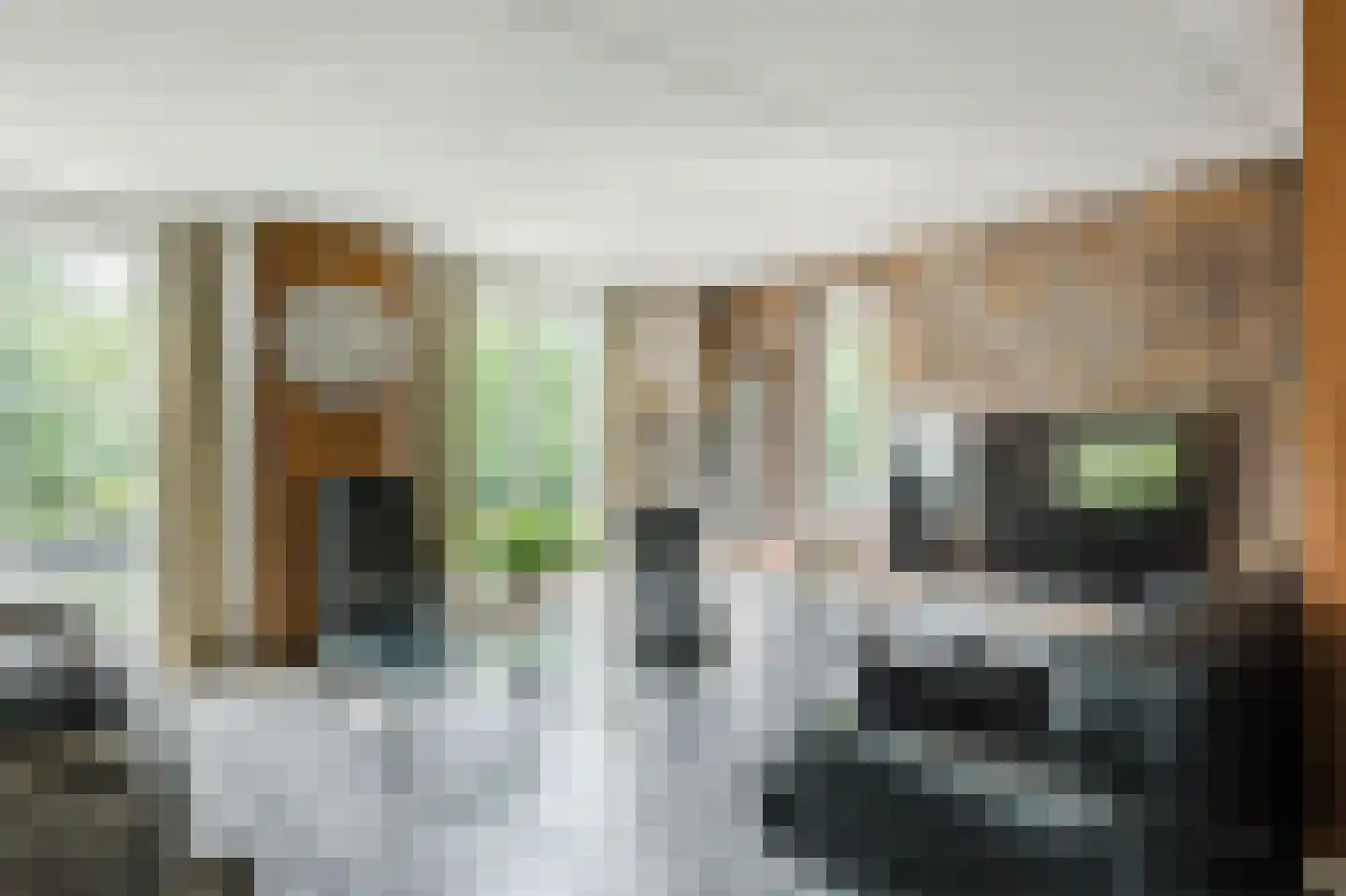 Lutkepost 3 Buitenpost thumbnail 6