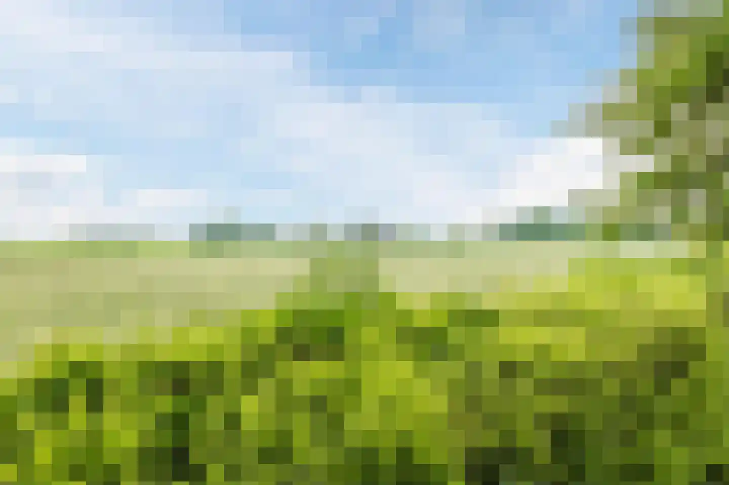 Lutkepost 3 Buitenpost thumbnail 61