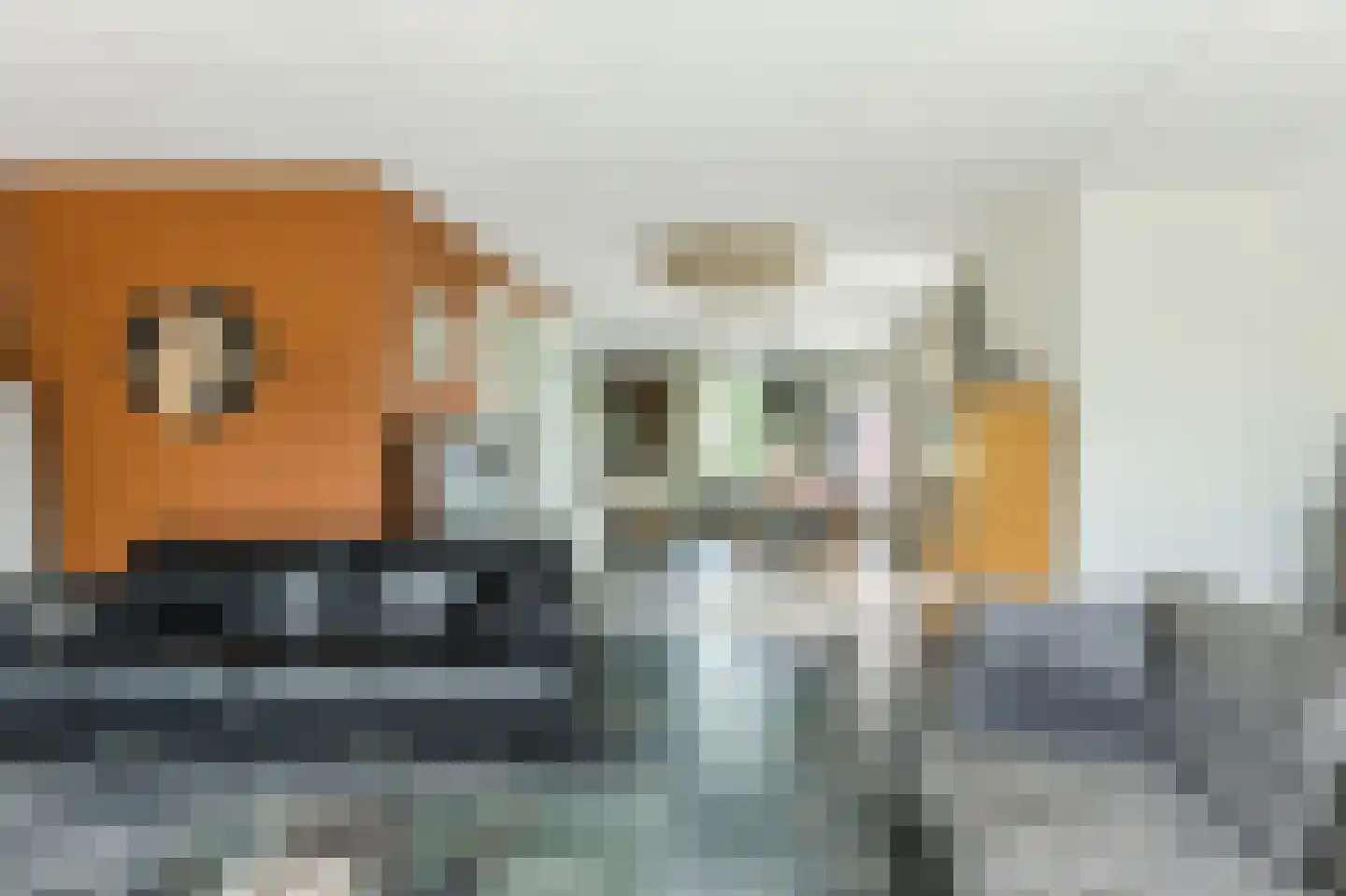 Lutkepost 3 Buitenpost thumbnail 8