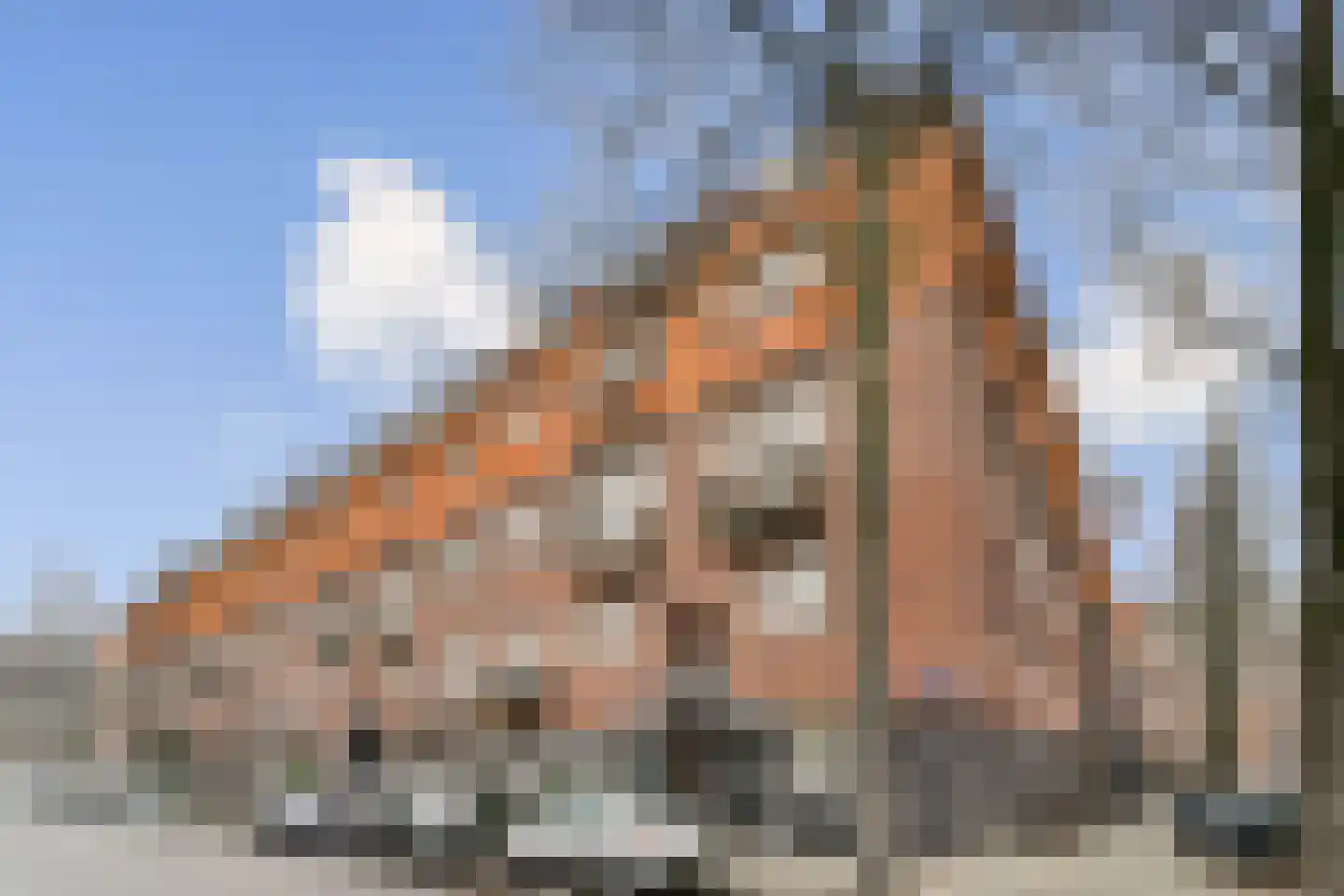Lutmastraat 13 1 Amsterdam thumbnail 24
