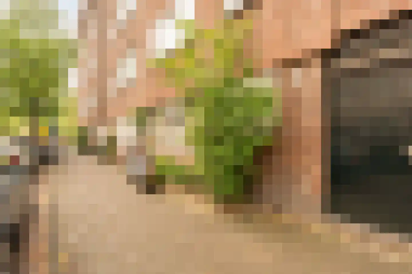 Lutmastraat 192 2 Amsterdam thumbnail 19