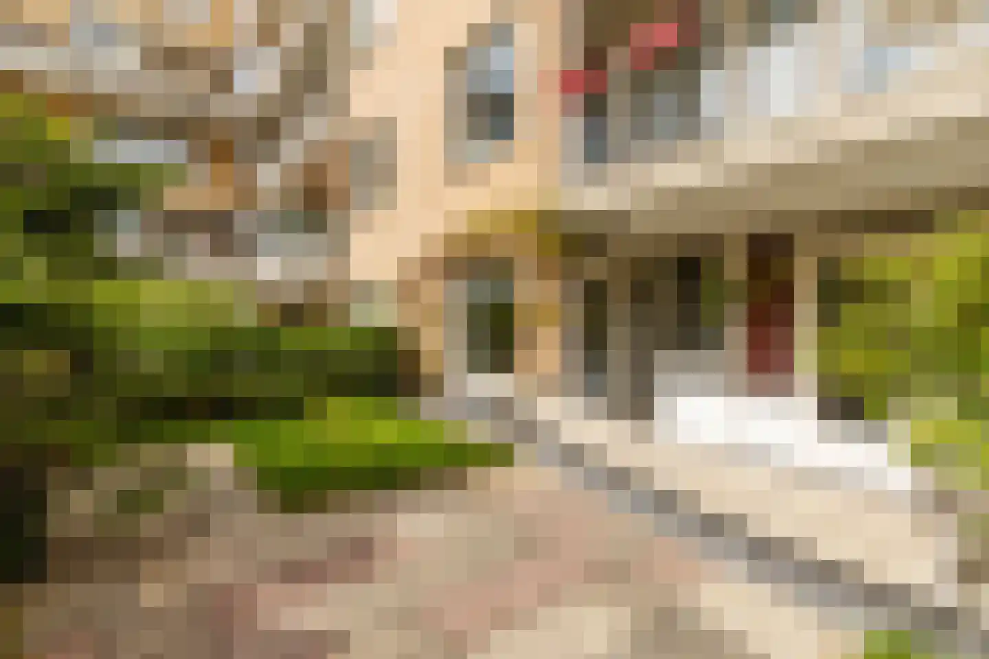 Lutmastraat 22 D Amsterdam thumbnail 14