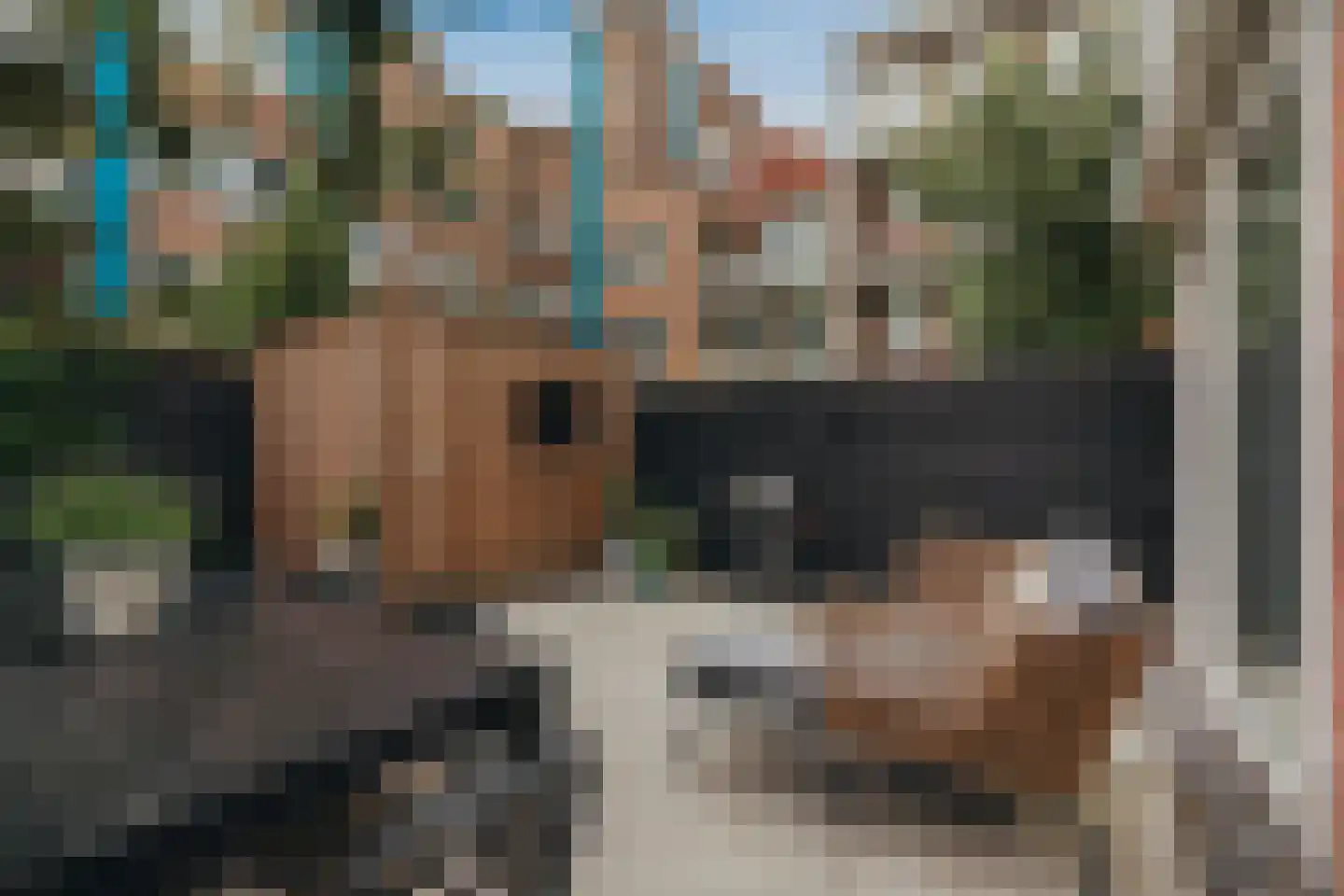 Lutmastraat 220 H Amsterdam thumbnail 28
