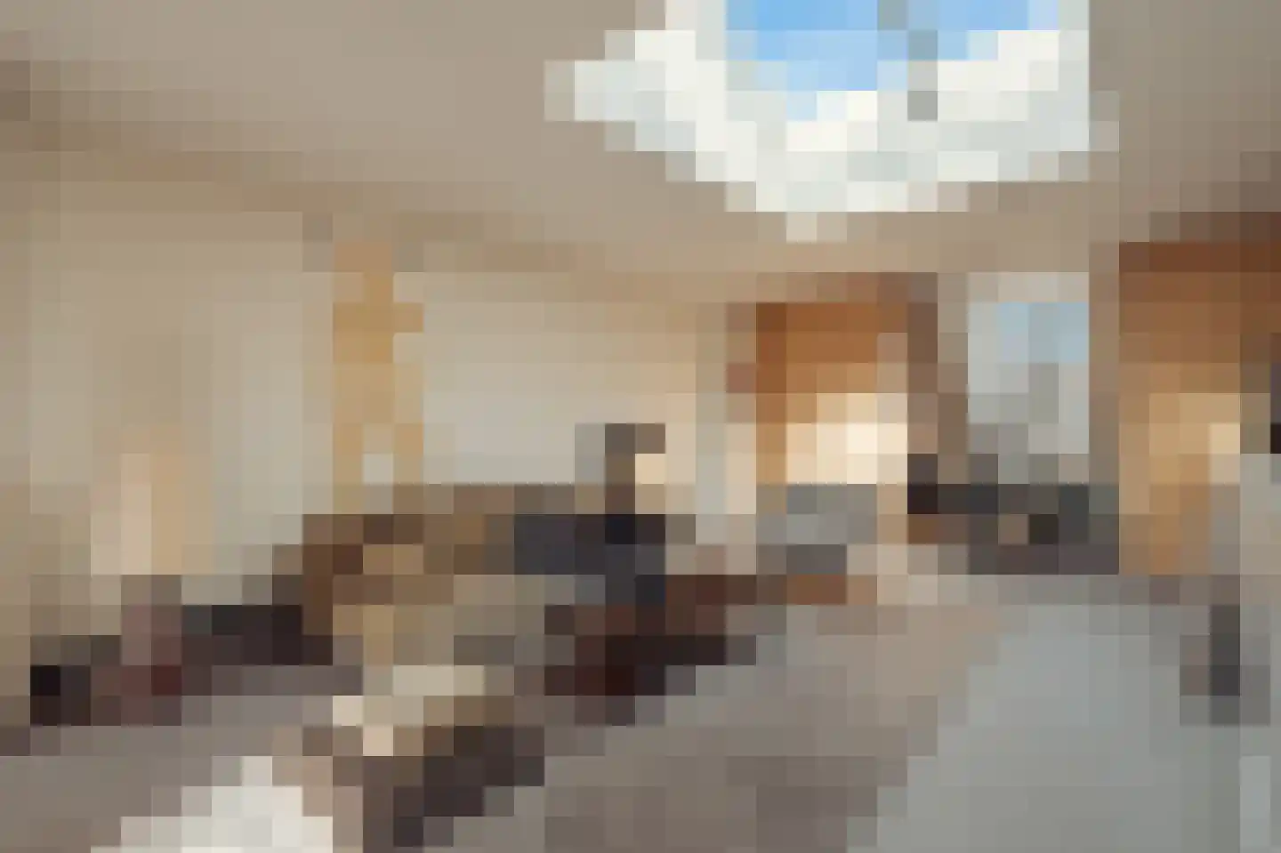 Lutmastraat 264 2 Amsterdam thumbnail 38