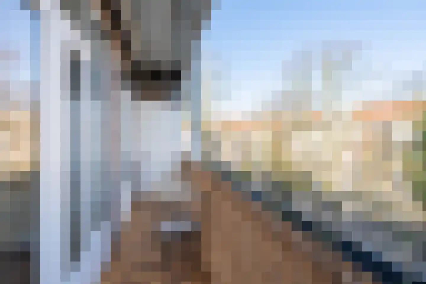Lutmastraat 41 H Amsterdam thumbnail 10
