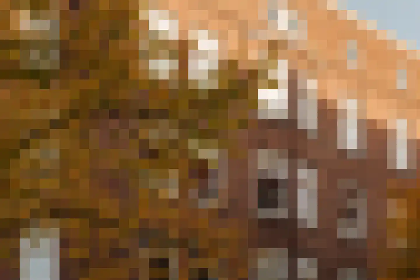 Lutmastraat 53 2 Amsterdam thumbnail 5