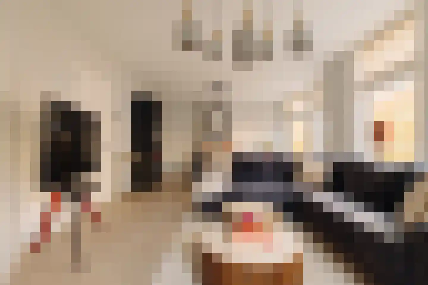 Lutmastraat 53 2 Amsterdam thumbnail 6