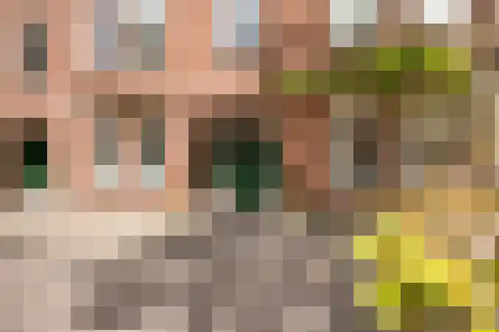 Lutmastraat 71 2 Amsterdam thumbnail 22