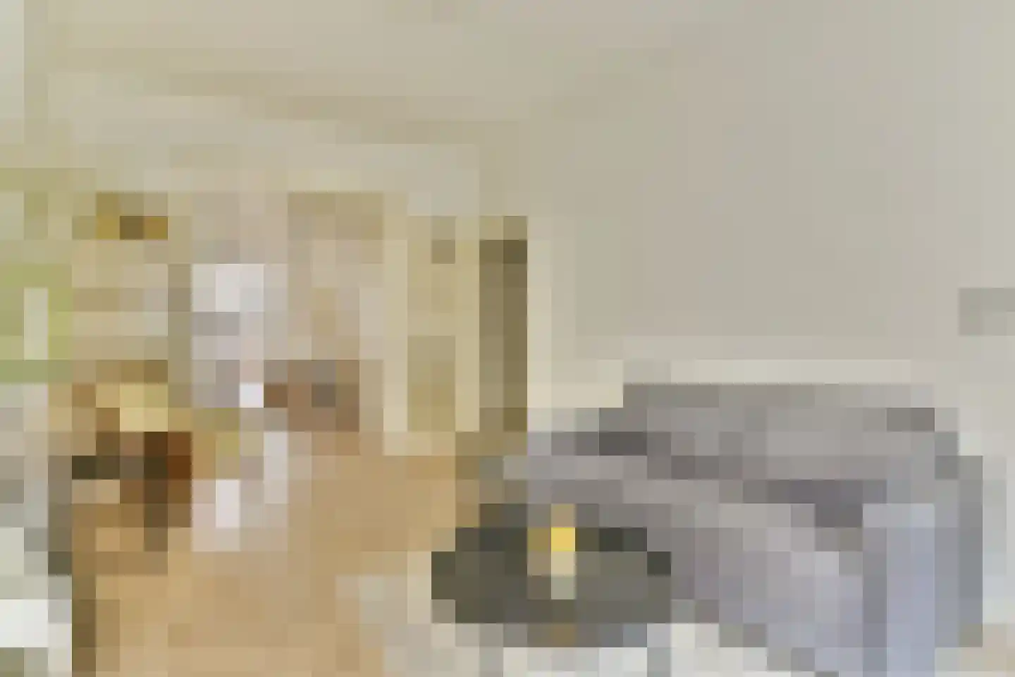 Lutmastraat 73 1 Amsterdam thumbnail 21