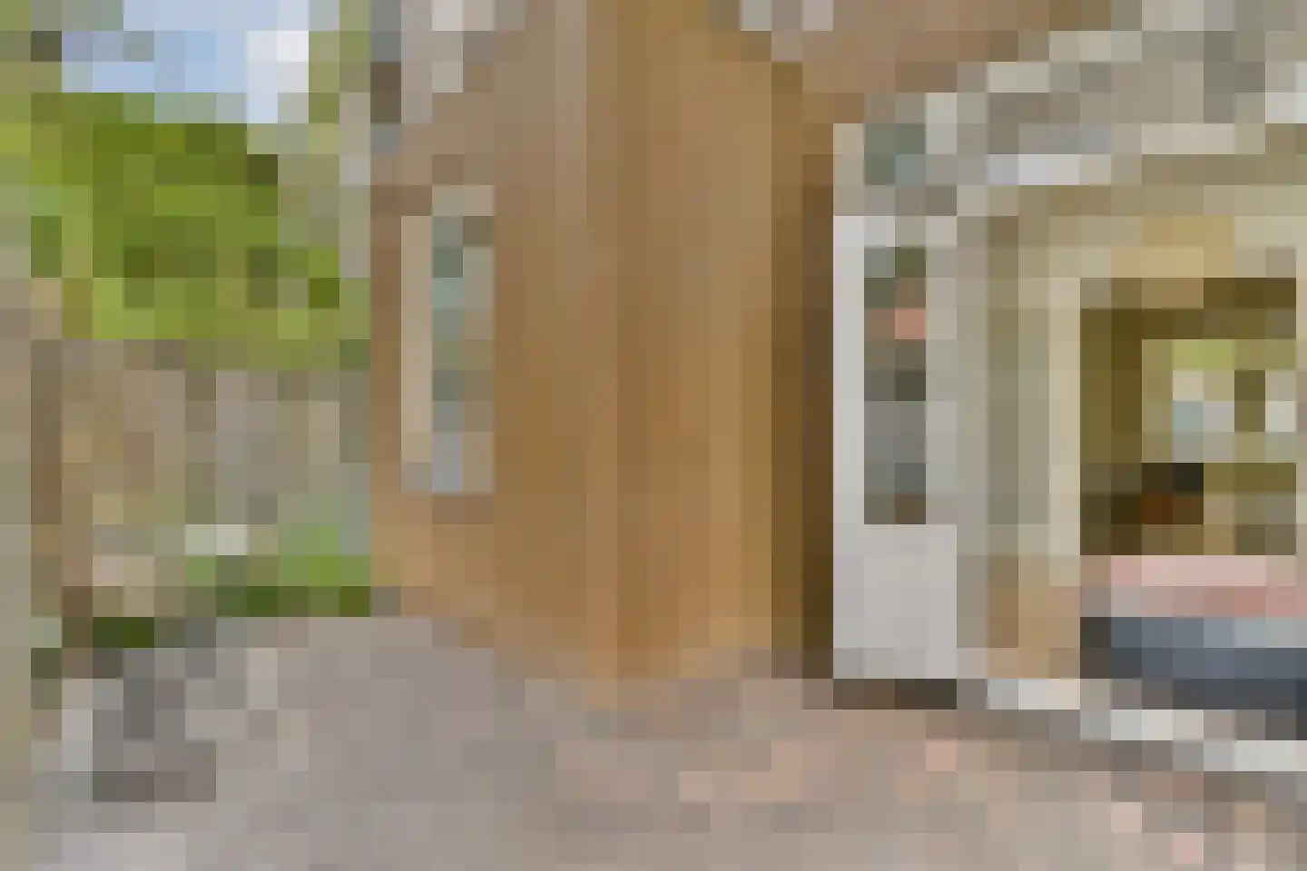 Lutmastraat 73 1 Amsterdam thumbnail 7