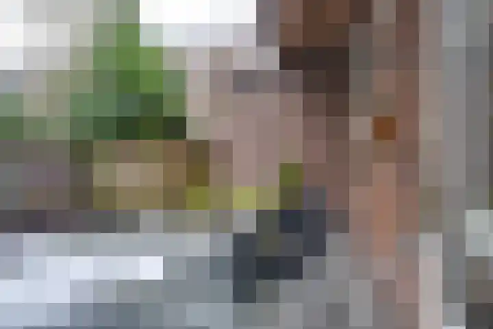Lutmastraat 93 H Amsterdam thumbnail 28