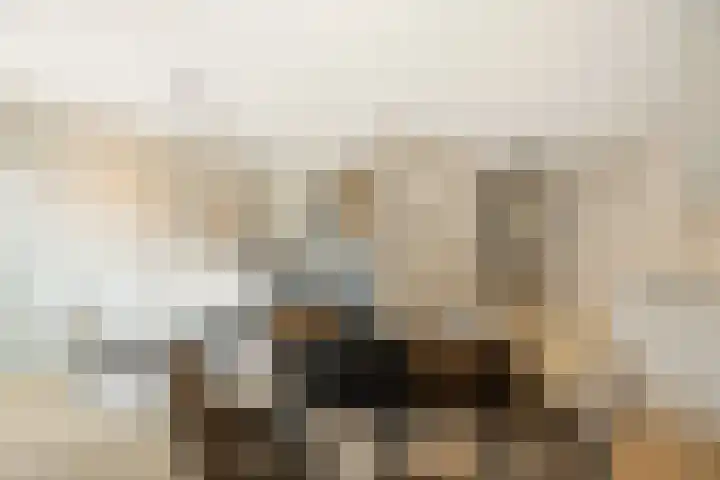 Lutonhof 333 Amsterdam thumbnail 11