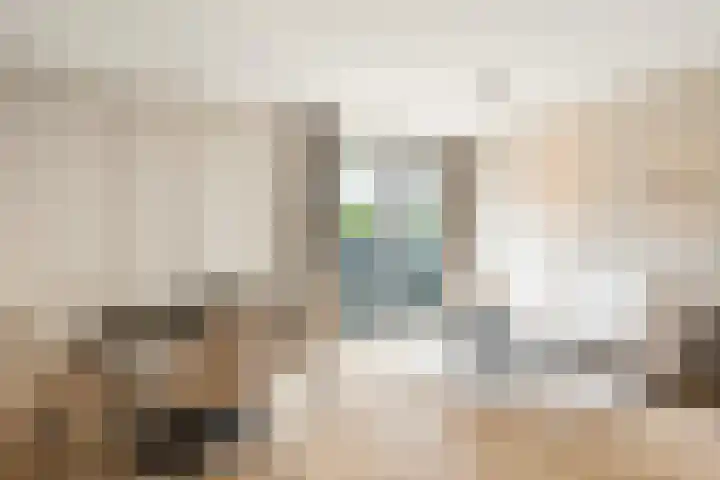 Lutonhof 333 Amsterdam thumbnail 7