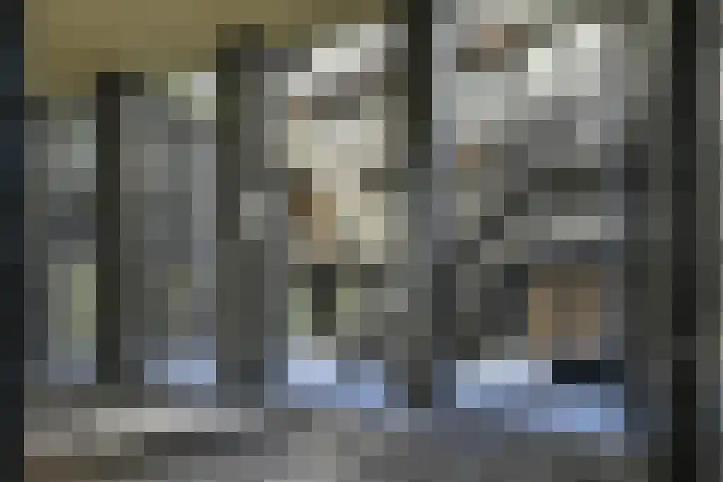 Lutonhof 339 Amsterdam thumbnail 27