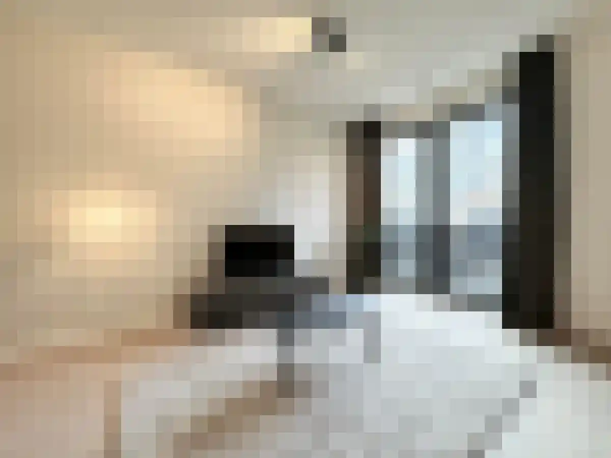 Lutonhof 341 Amsterdam thumbnail 4