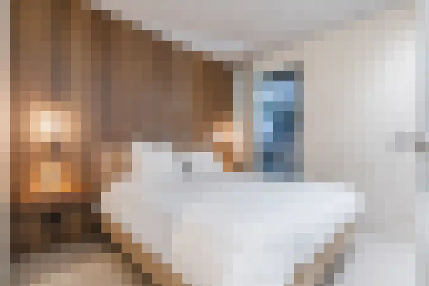 Lutonhof 345 Amsterdam thumbnail 38