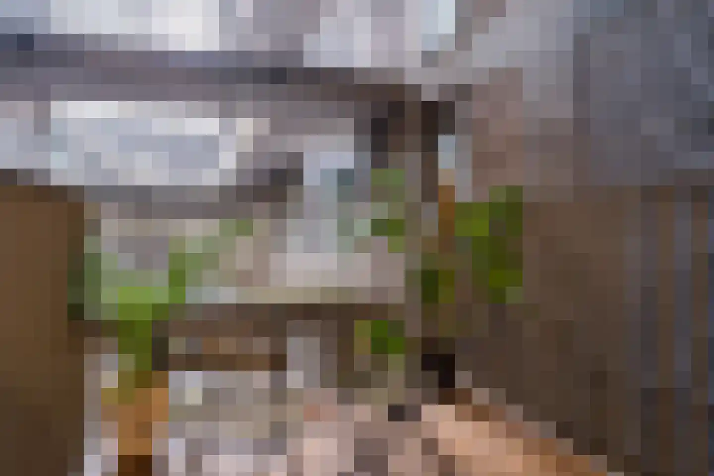 Lutonhof 345 Amsterdam thumbnail 56