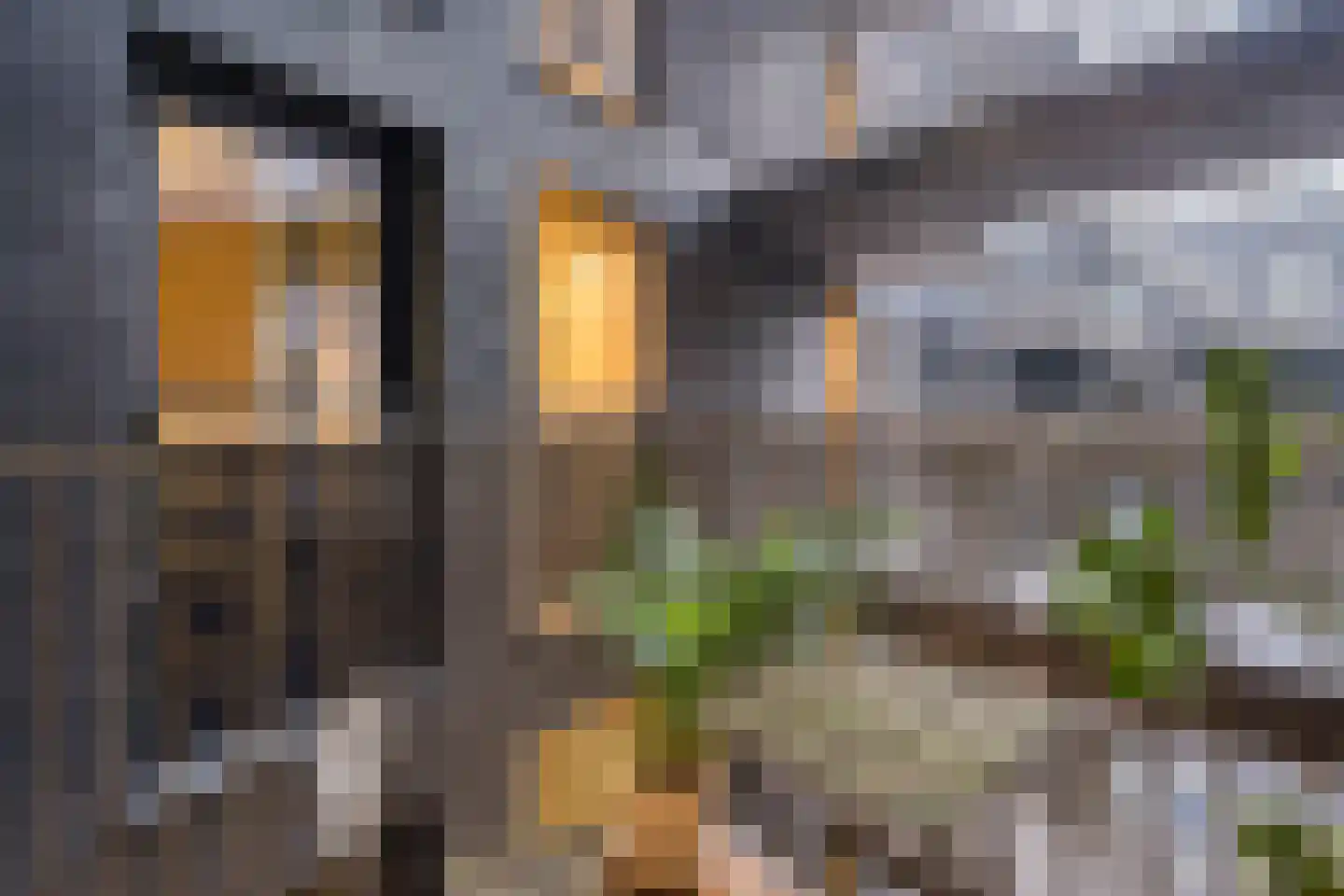 Lutonhof 345 Amsterdam thumbnail 57