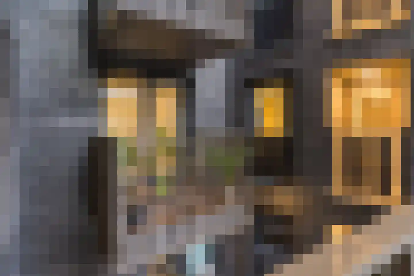 Lutonhof 345 Amsterdam thumbnail 61