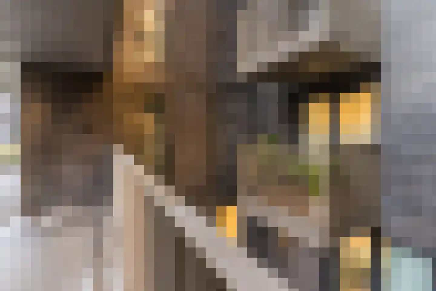 Lutonhof 345 Amsterdam thumbnail 63