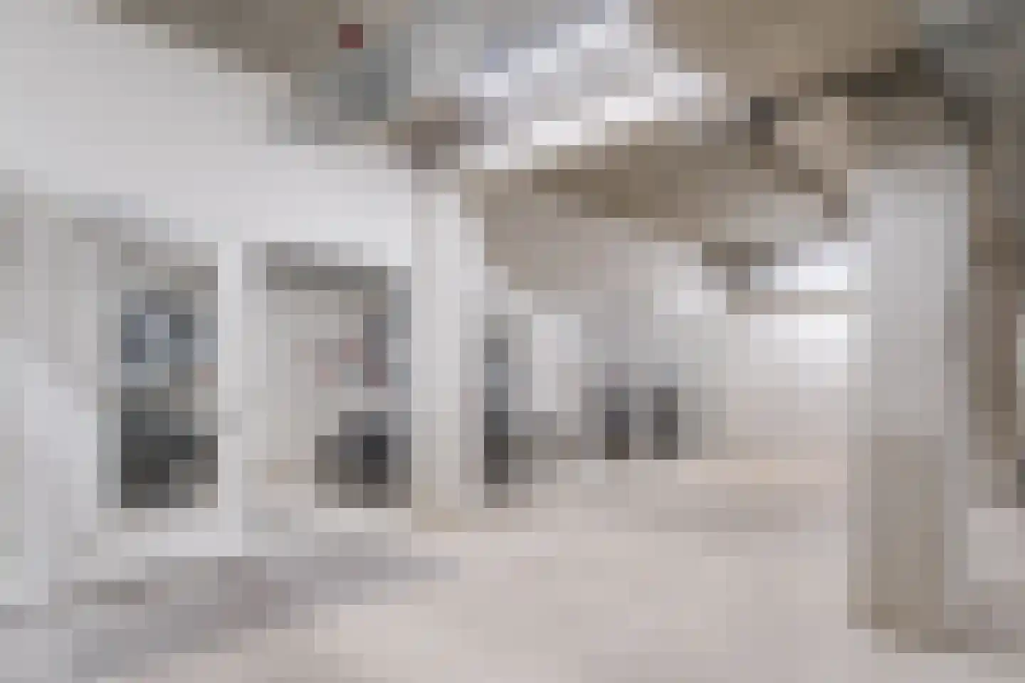 Lutonhof 345 Amsterdam thumbnail 66