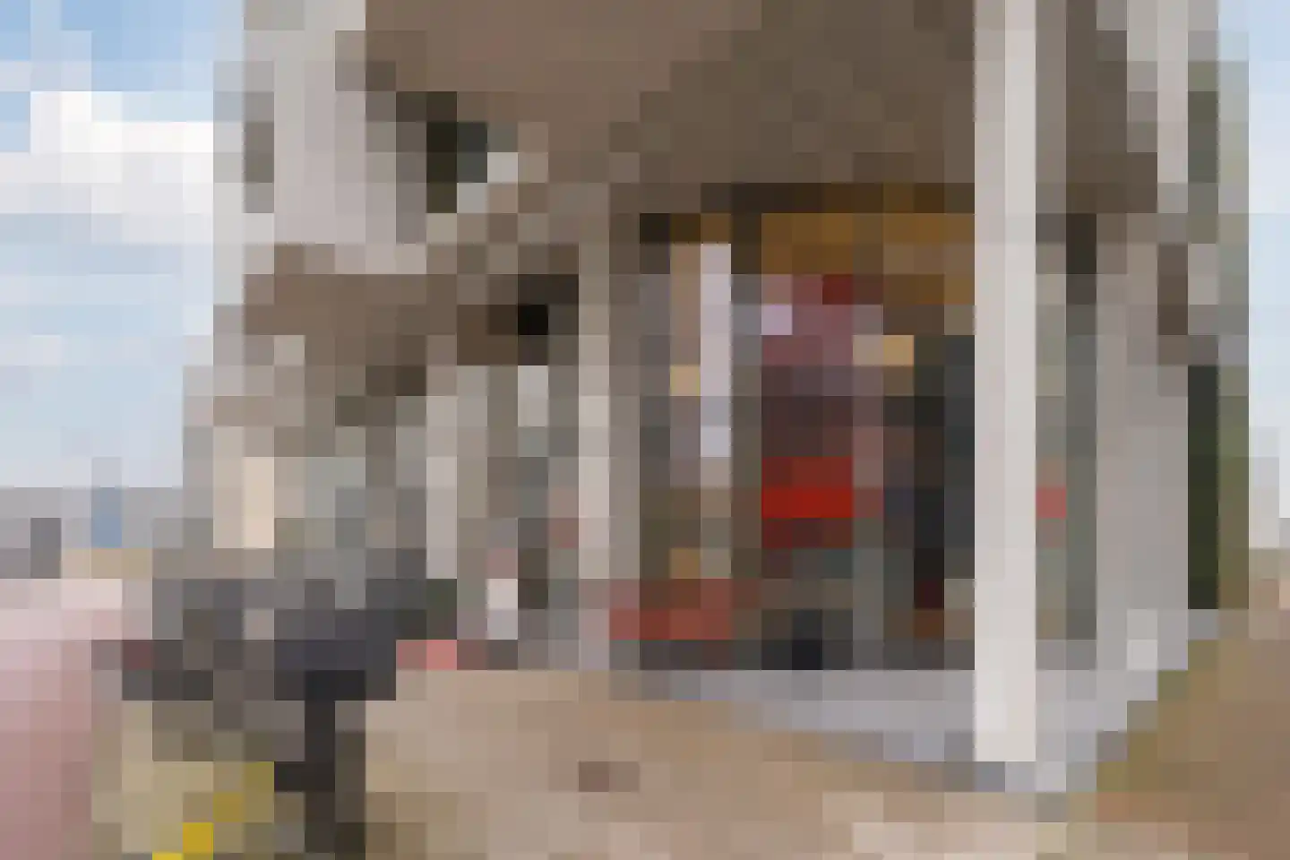 Lutonhof 345 Amsterdam thumbnail 76
